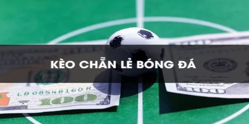 Các loại cá cược chẵn lẻ thường thấy trong túc cầu