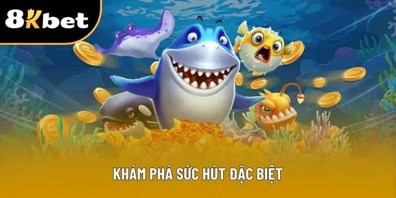 Khám phá sức hút đặc biệt