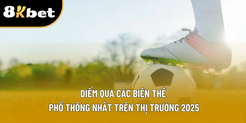 Điểm qua các biến thể phổ thông nhất trên thị trường 2025