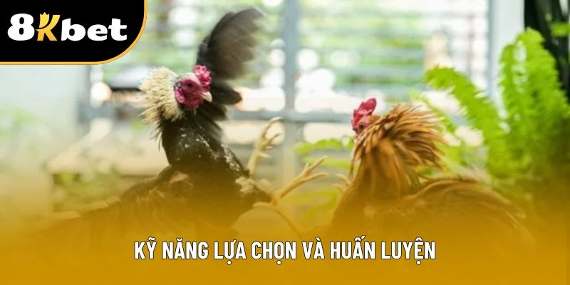 Kỹ năng lựa chọn và huấn luyện