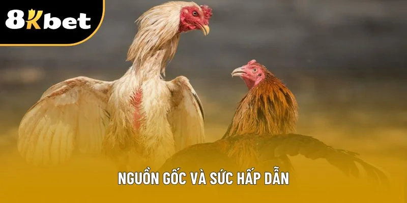 Nguồn gốc và sức hấp dẫn
