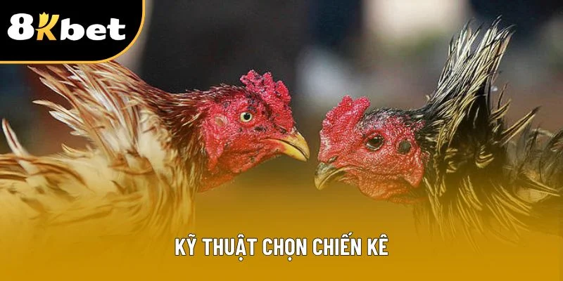 Kỹ thuật chọn chiến kê
