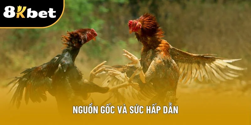 Nguồn gốc và sức hấp dẫn