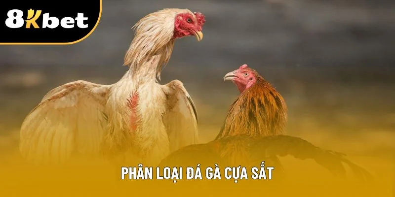 Phân loại đá gà cựa sắt