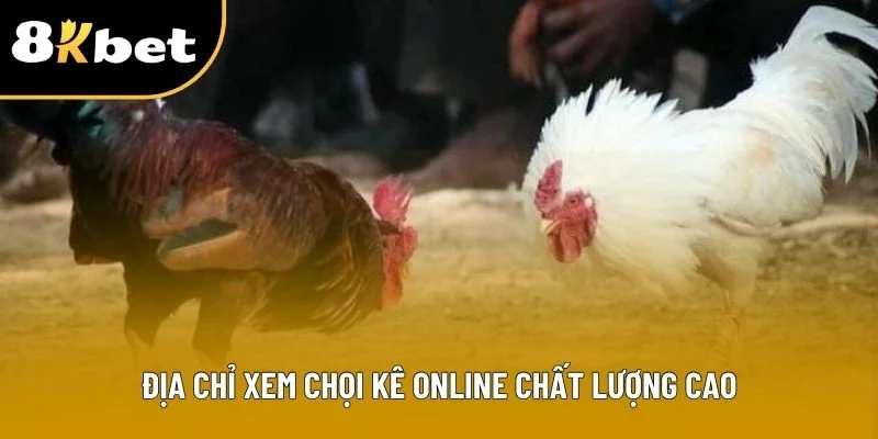 Địa chỉ xem chọi kê online chất lượng cao